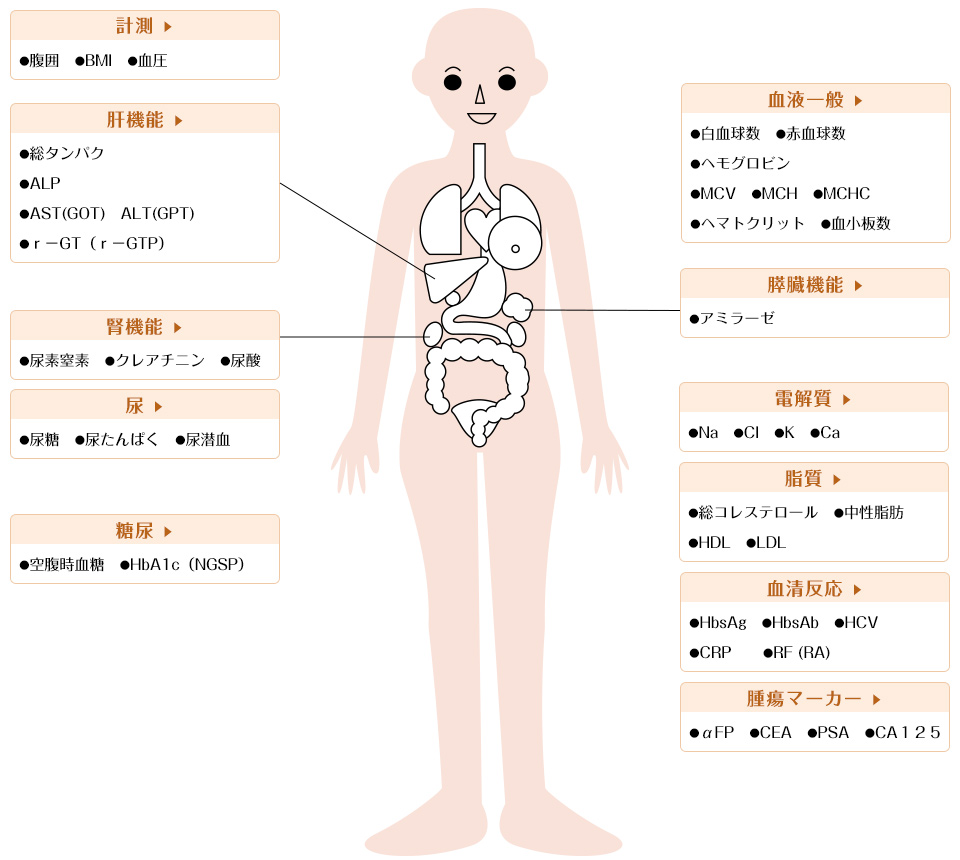 基準 値 検査 crp 血液